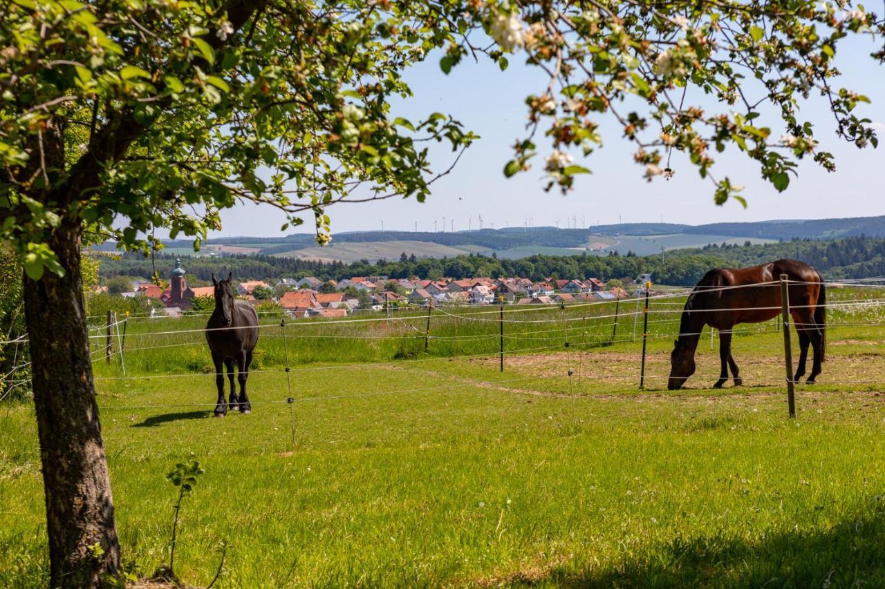 Pferdehof Bischof *